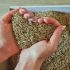 Grass-seed