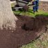 Mulching